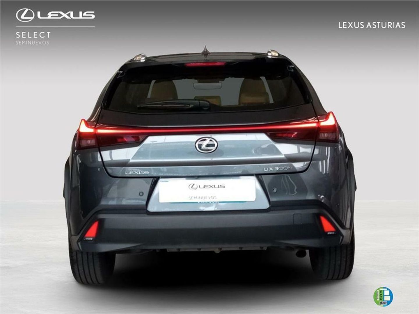 Lexus UX UX 300h Plus 146 kW (199 CV)
