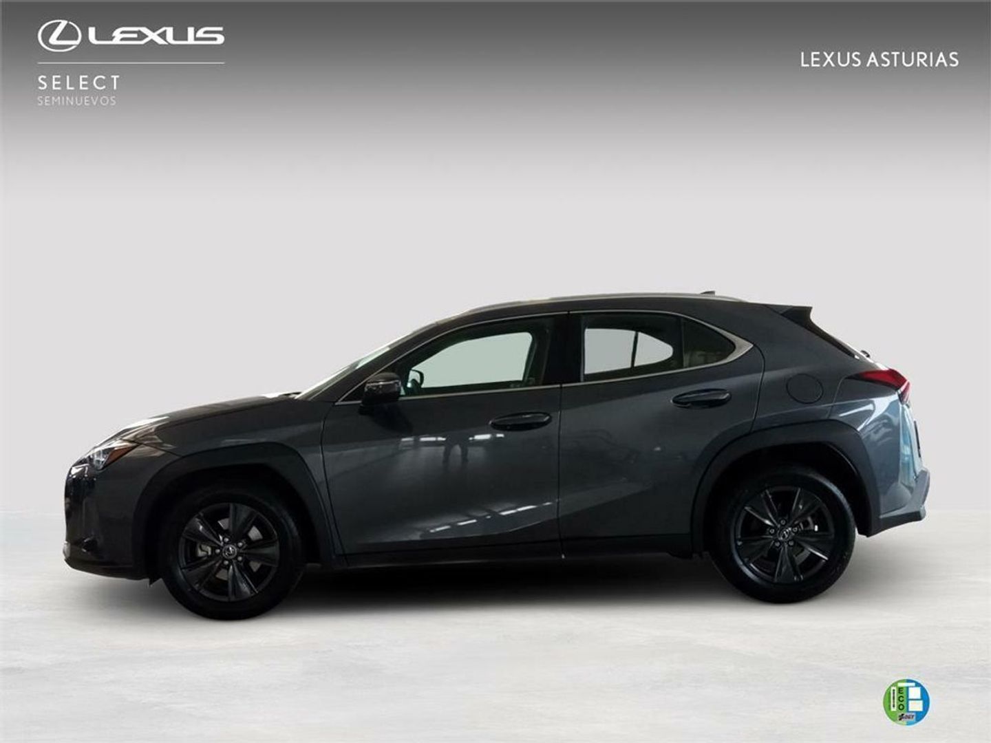 Lexus UX UX 300h Plus 146 kW (199 CV)