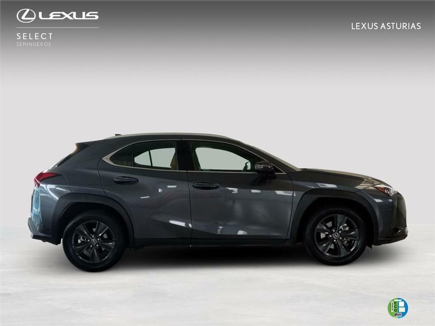 Lexus UX UX 300h Plus 146 kW (199 CV)