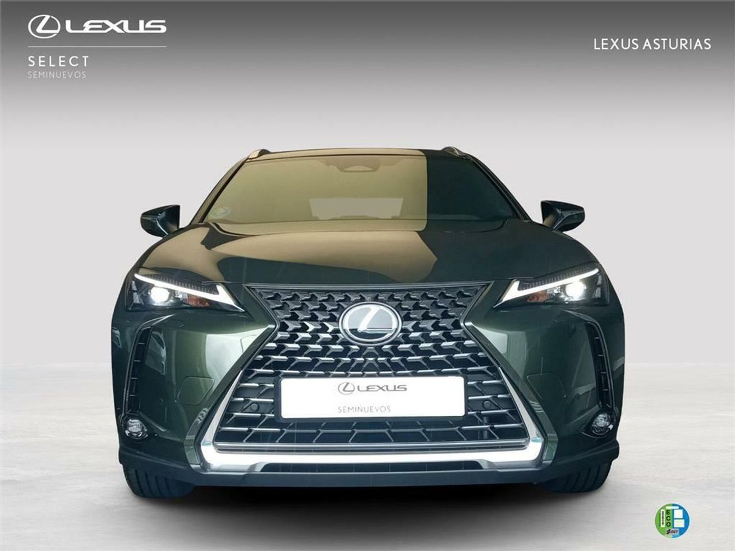 Lexus UX UX 300h Plus 146 kW (199 CV)