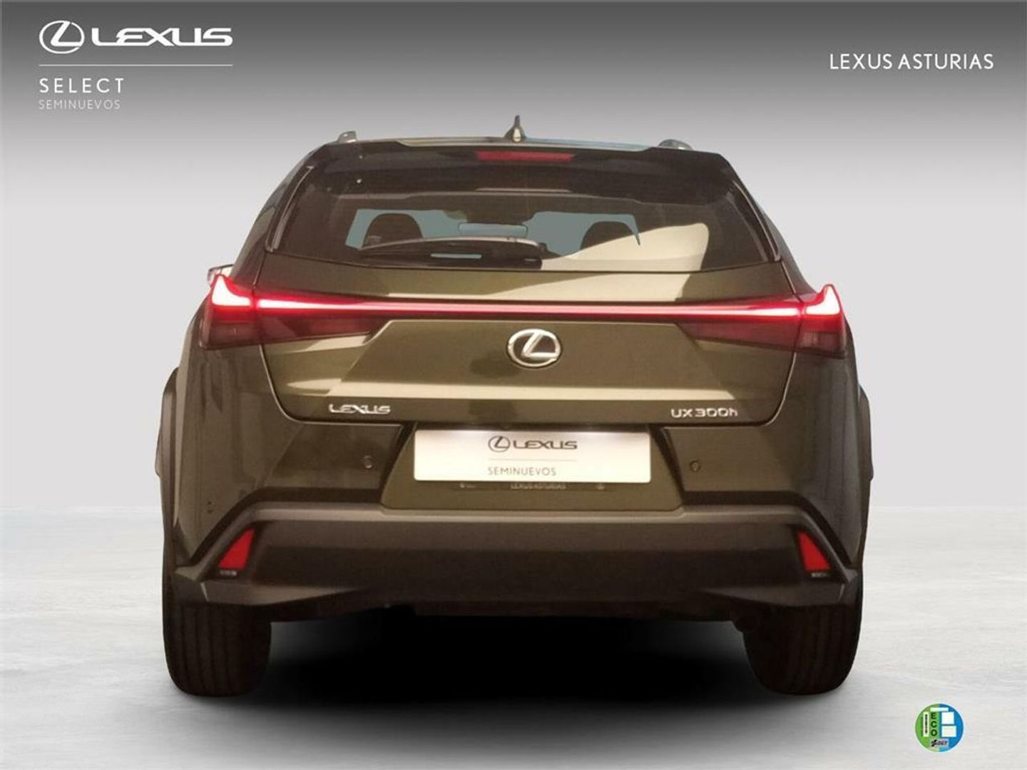 Lexus UX UX 300h Plus 146 kW (199 CV)