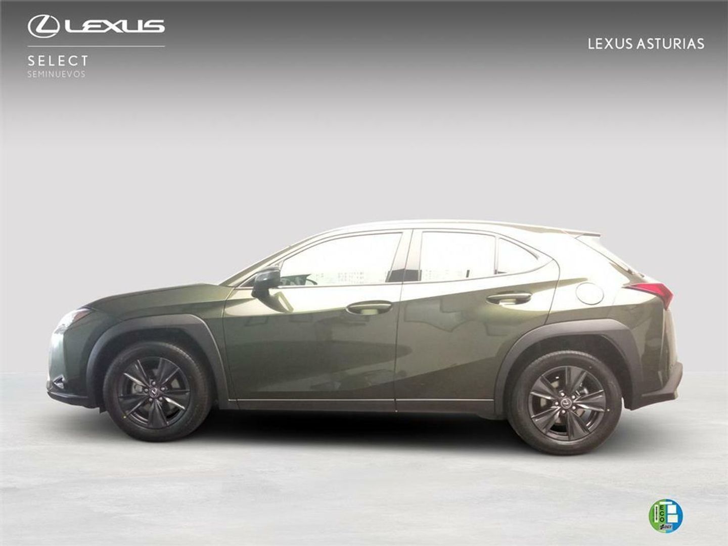 Lexus UX UX 300h Plus 146 kW (199 CV)