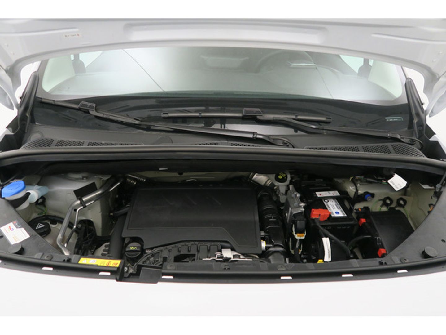 Citroen Berlingo PureTech 110 S&S Live Pack Talla XL 81 kW (110 CV)