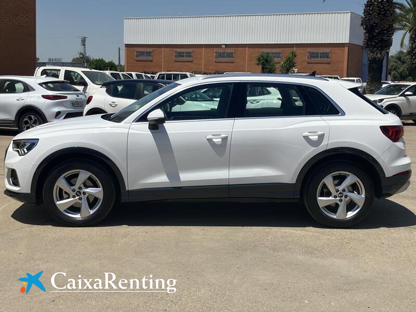 Audi Q3 Advanced 35 TDI 110 kW (150 CV) S tronic