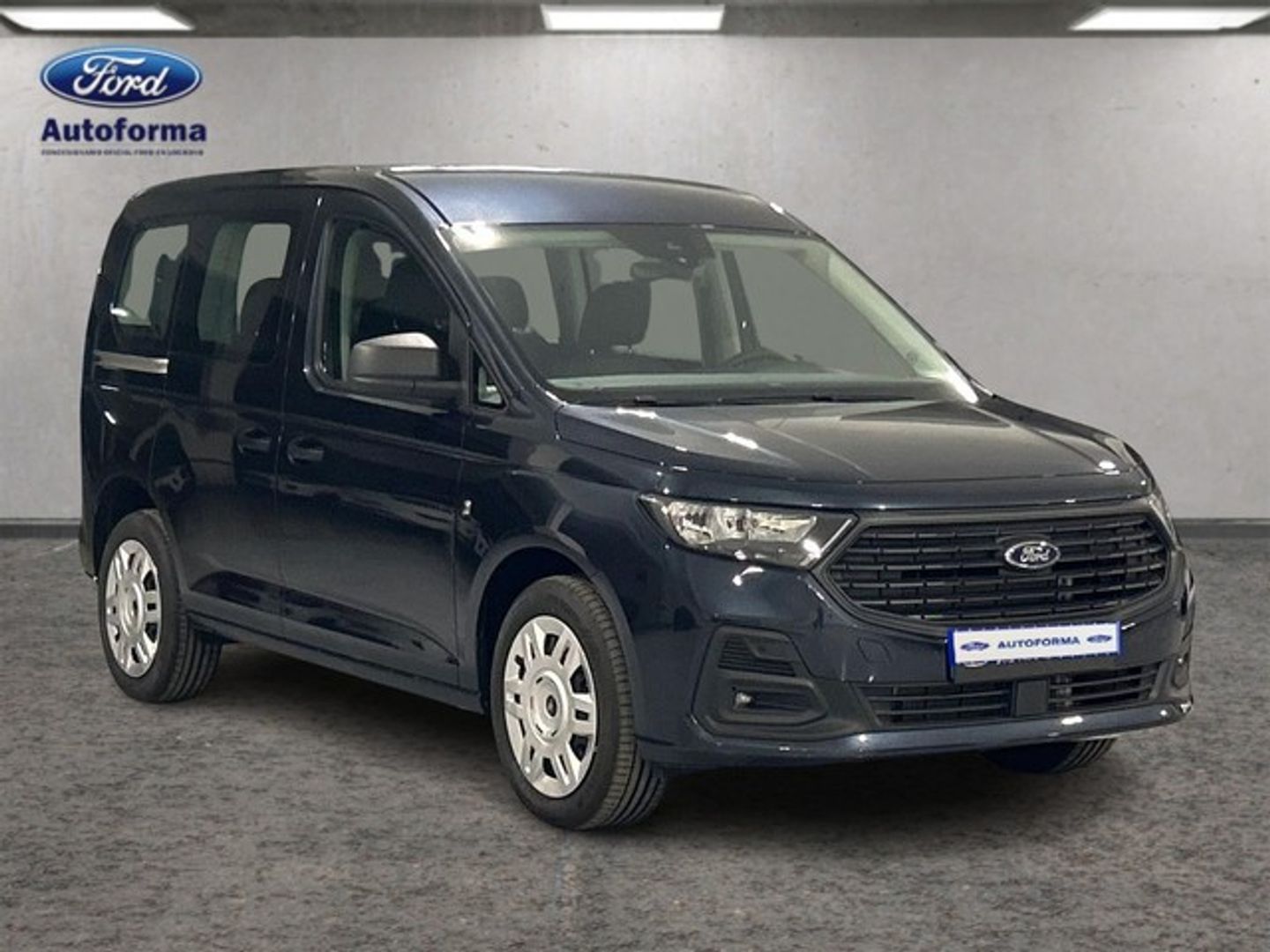 Ford Tourneo Connect 2.0 Ecoblue Trend 90 kW (122 CV)