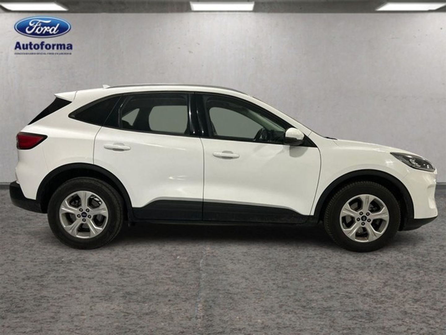 Ford Kuga 1.5 EcoBlue Trend 88 kW (120 CV)