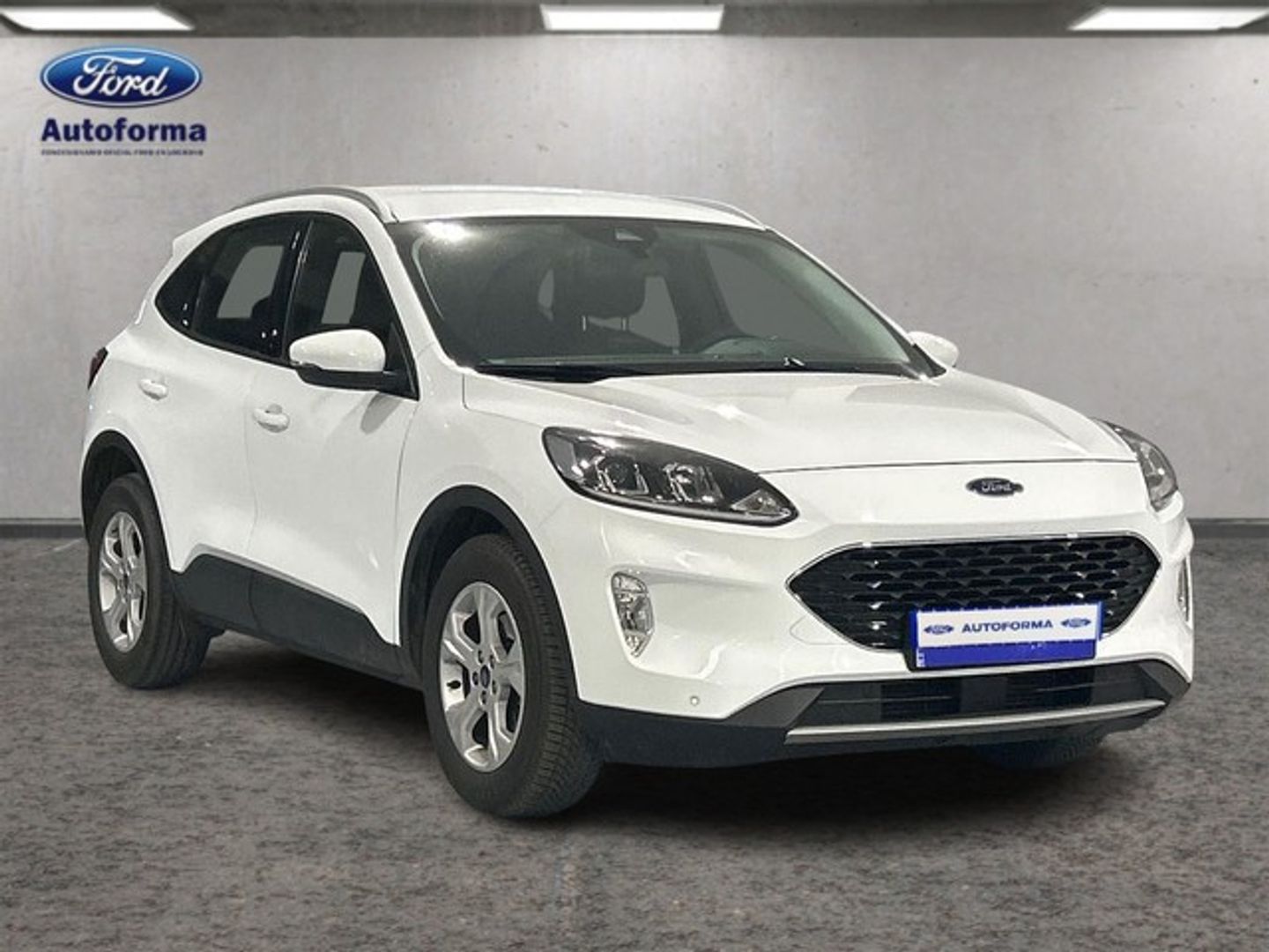 Ford Kuga 1.5 EcoBlue Trend 88 kW (120 CV)