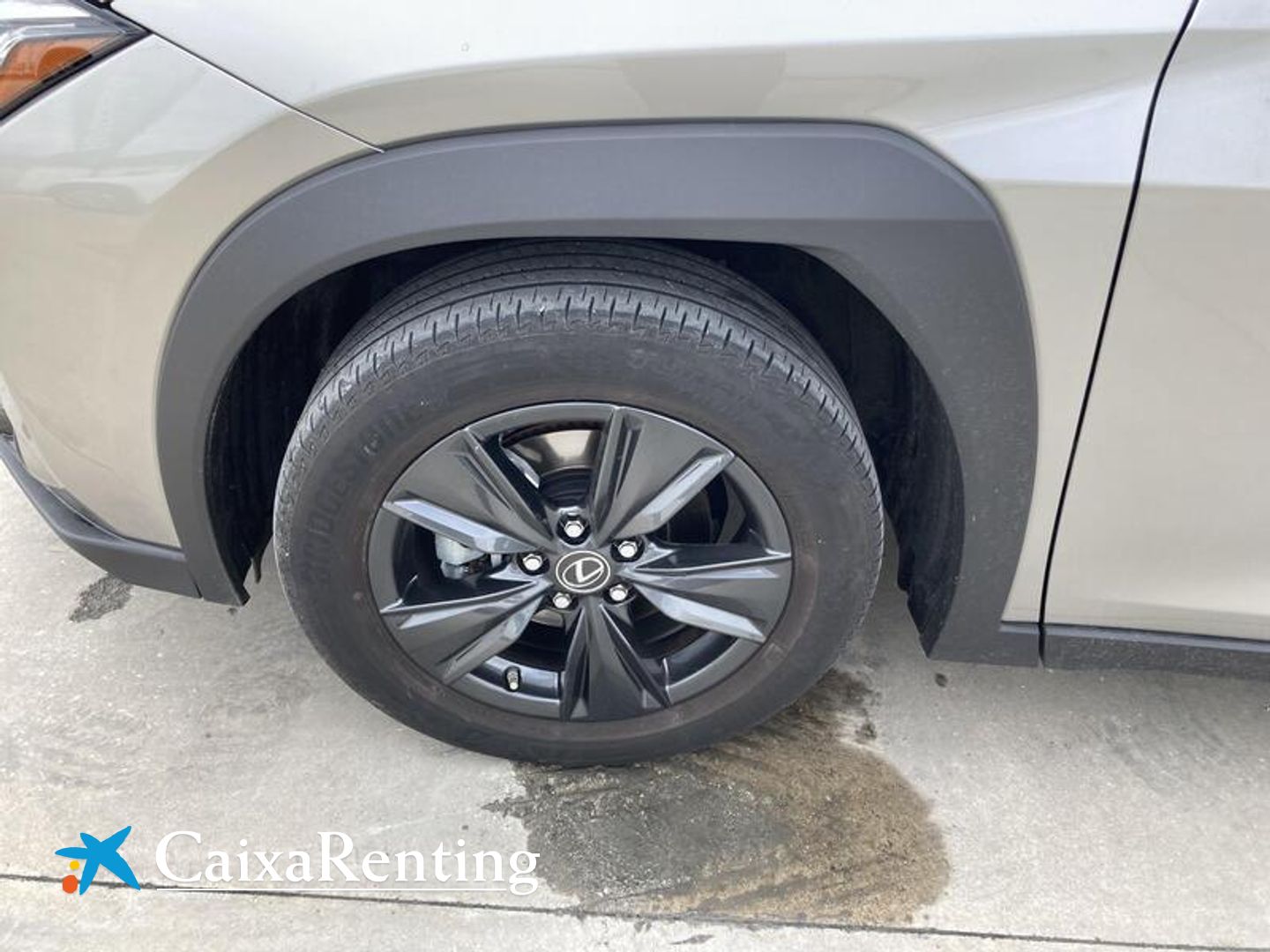 Lexus UX UX 250h Business 2WD 135 kW (184 CV)