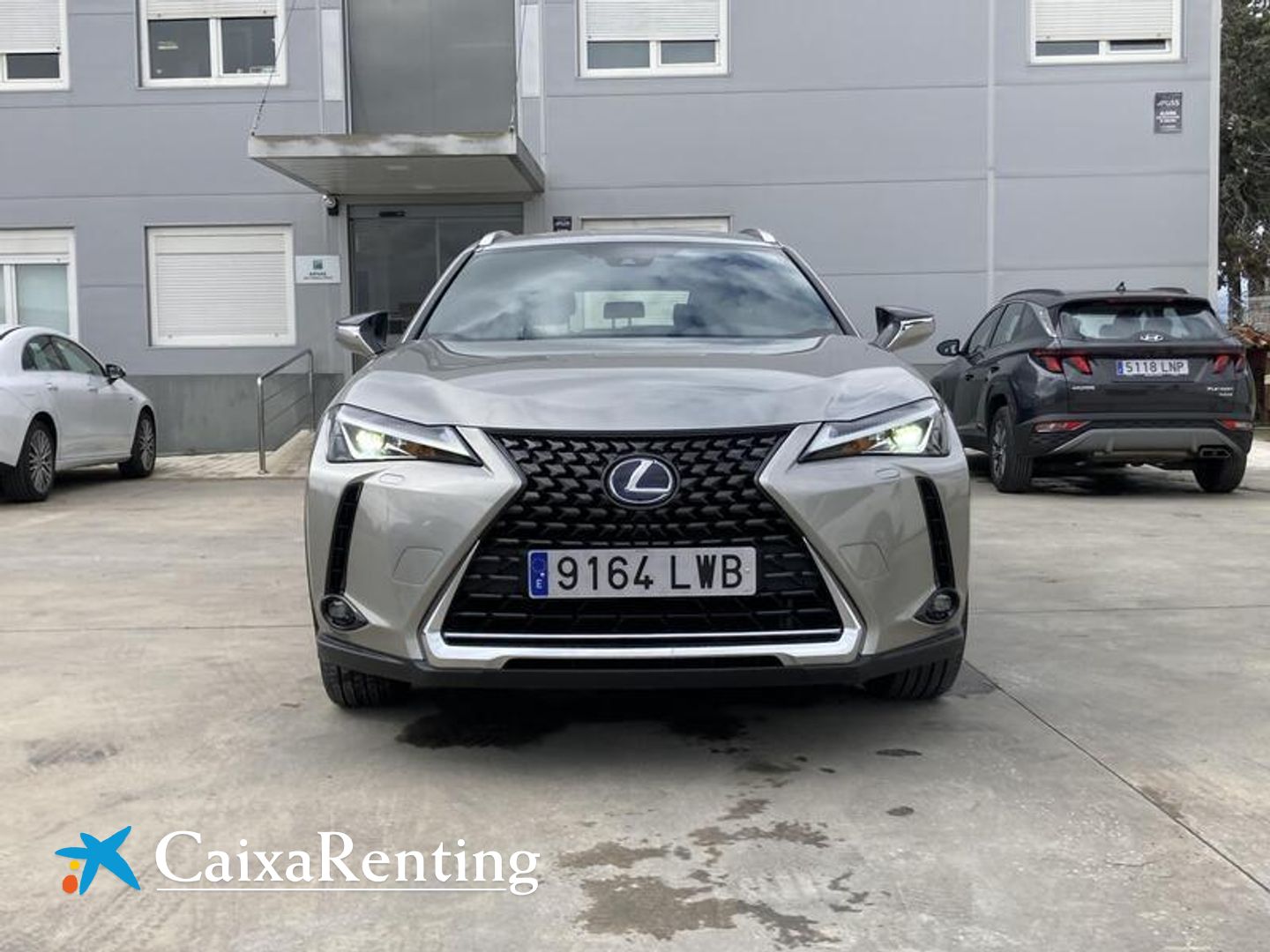 Lexus UX UX 250h Business 2WD 135 kW (184 CV)