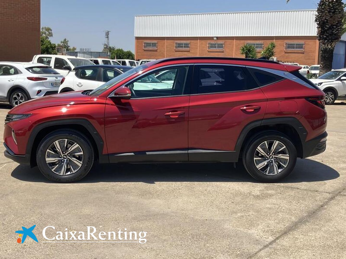 Hyundai Tucson 1.6 TGDI HEV Maxx Auto 169 kW (230 CV)