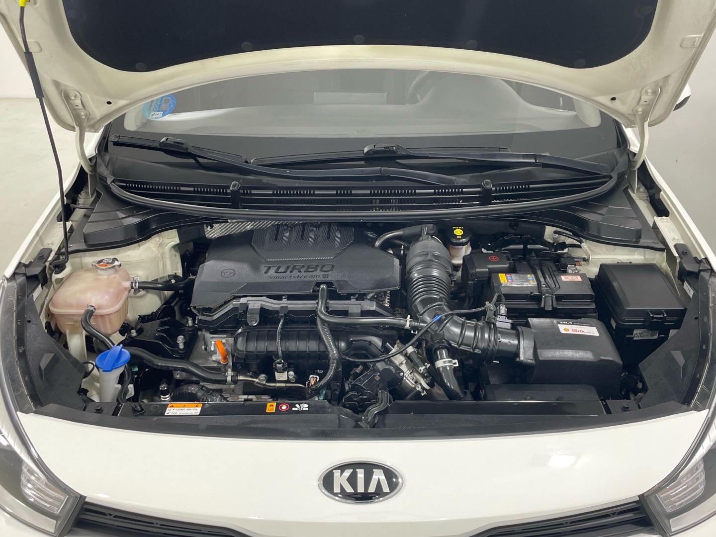 Kia Rio 1.0 T-GDi MHEV iMT Concept 74 kW (100 CV)