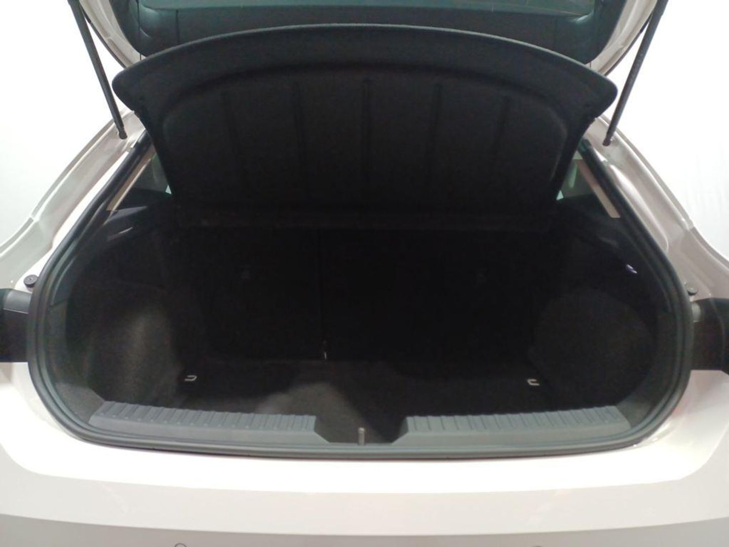 SEAT León 1.5 eTSI S&S Style Special Edition DSG 110 kW (150 CV)