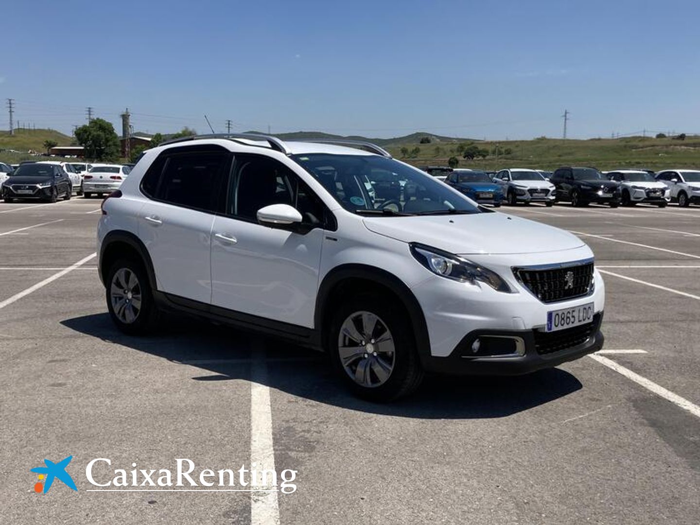 Peugeot 2008 BlueHDi 100 Signature 73 kW (100 CV)