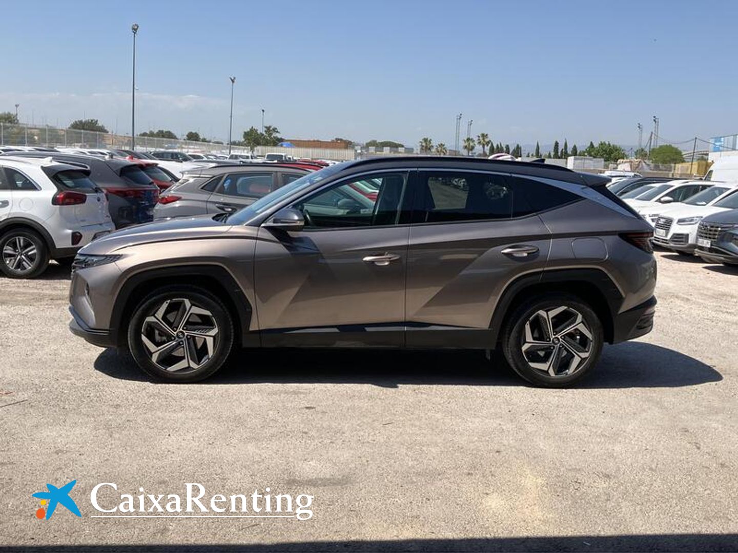 Hyundai Tucson 1.6 TGDI HEV Tecno Auto 2C 169 kW (230 CV)