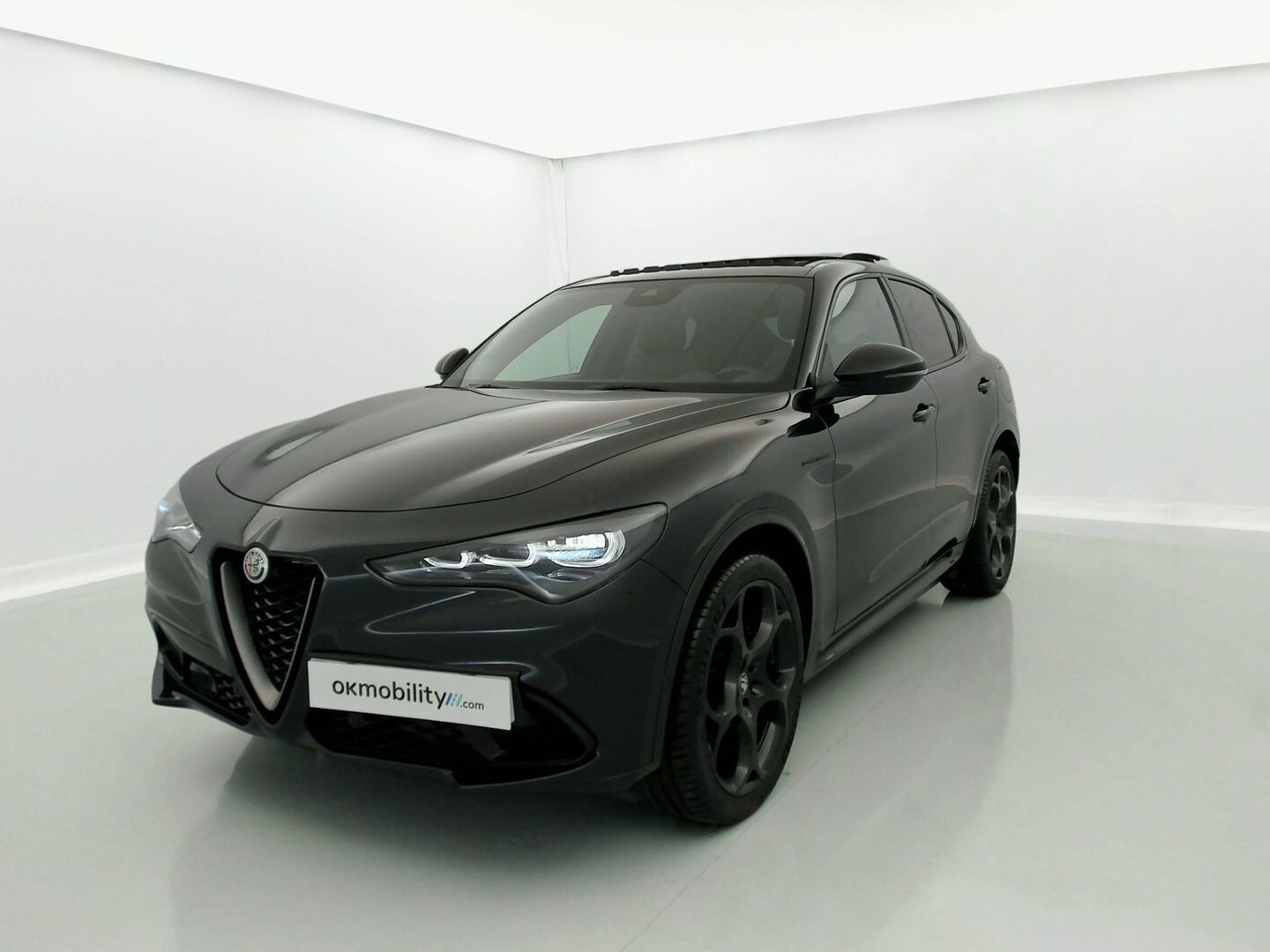 Alfa Romeo Stelvio 2.0 Gasolina Competizione Q4 206 kW (280 CV) Negro SUV