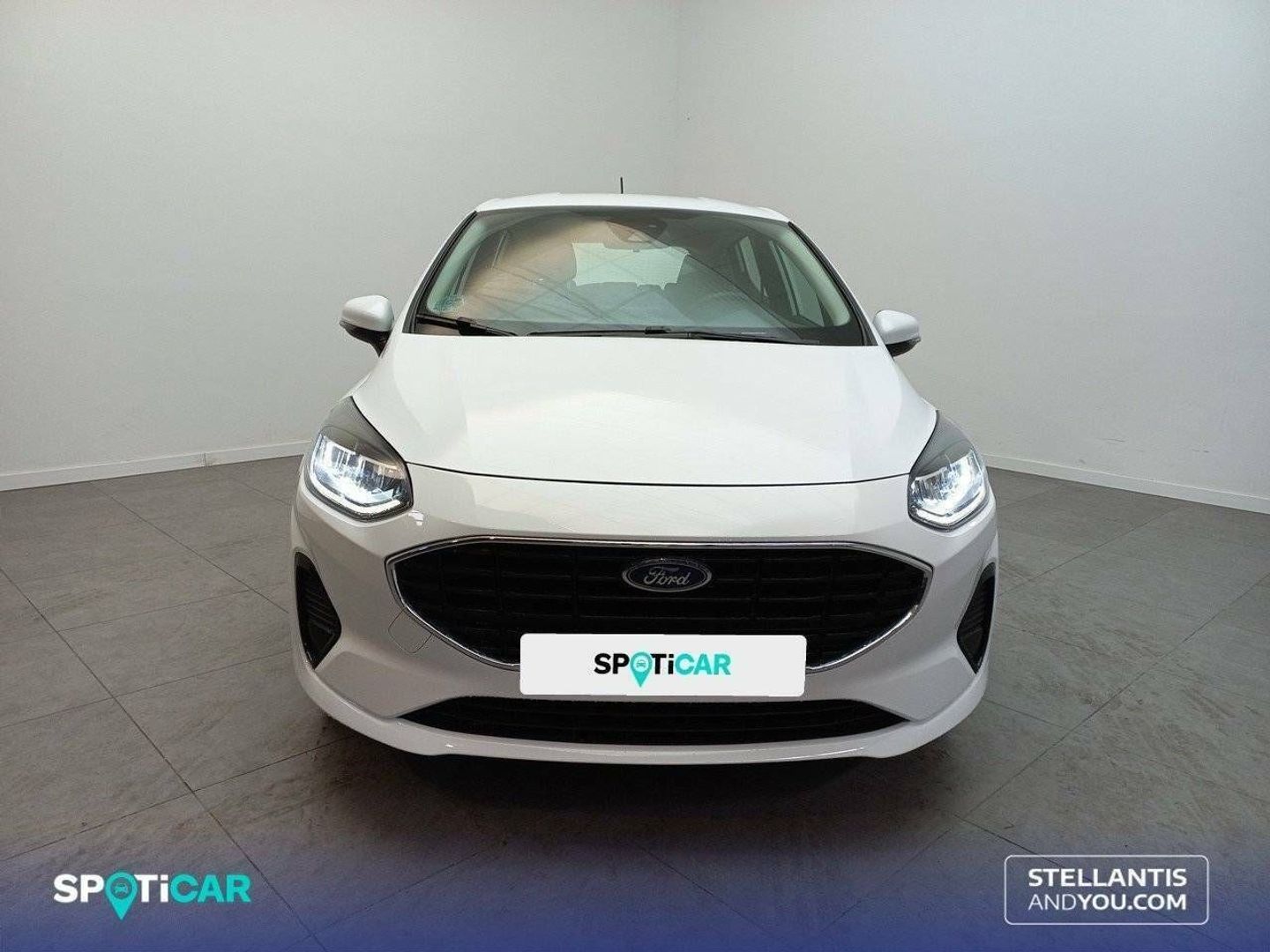 Ford Fiesta 1.0 EcoBoost Trend 74 kW (100 CV)
