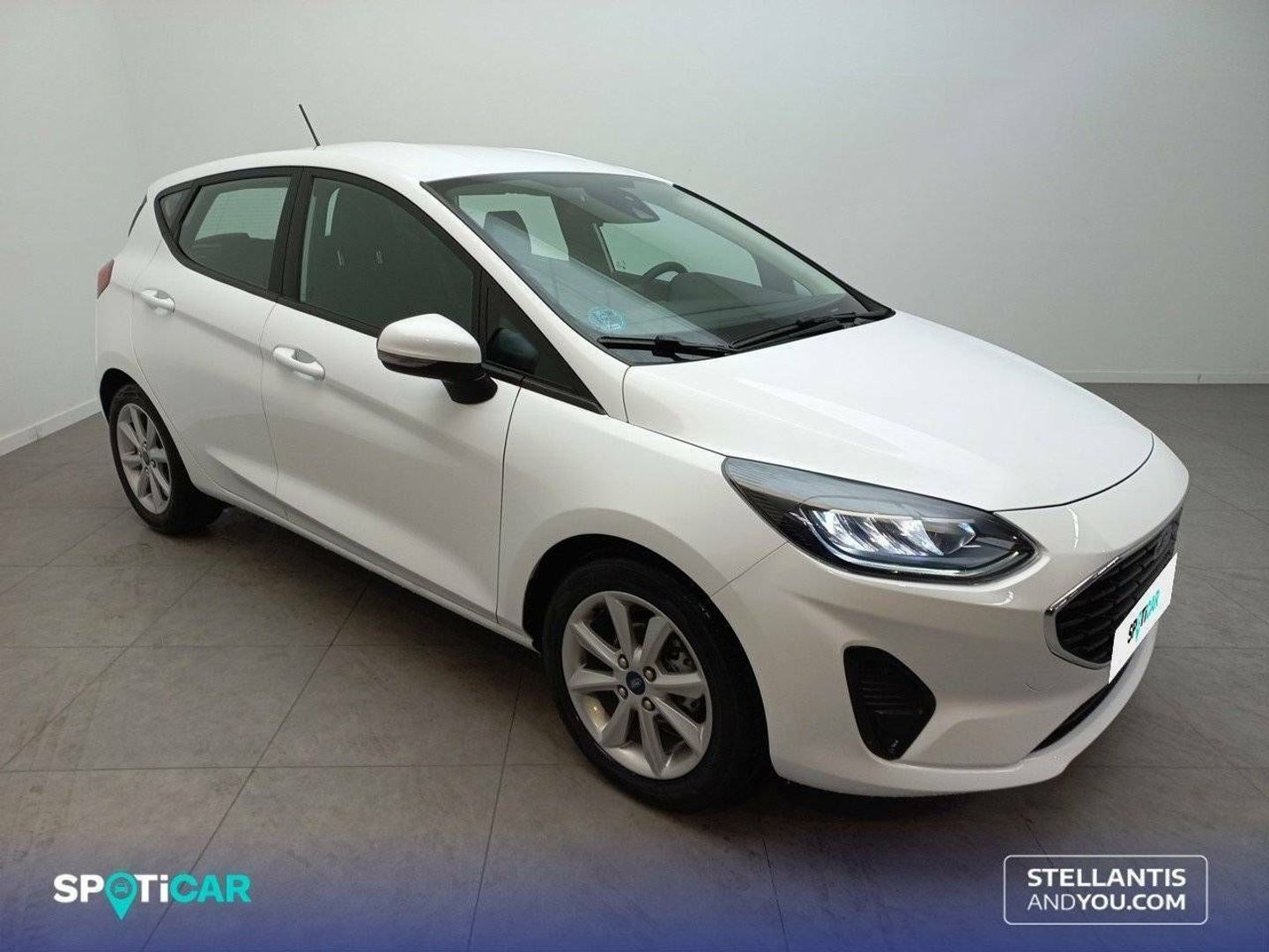 Ford Fiesta 1.0 EcoBoost Trend 74 kW (100 CV)