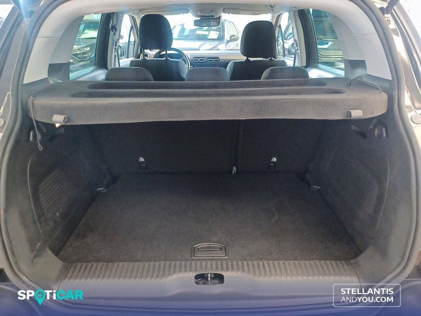 Citroen C3 Aircross PureTech 110 S&S Shine 81 kW (110 CV)