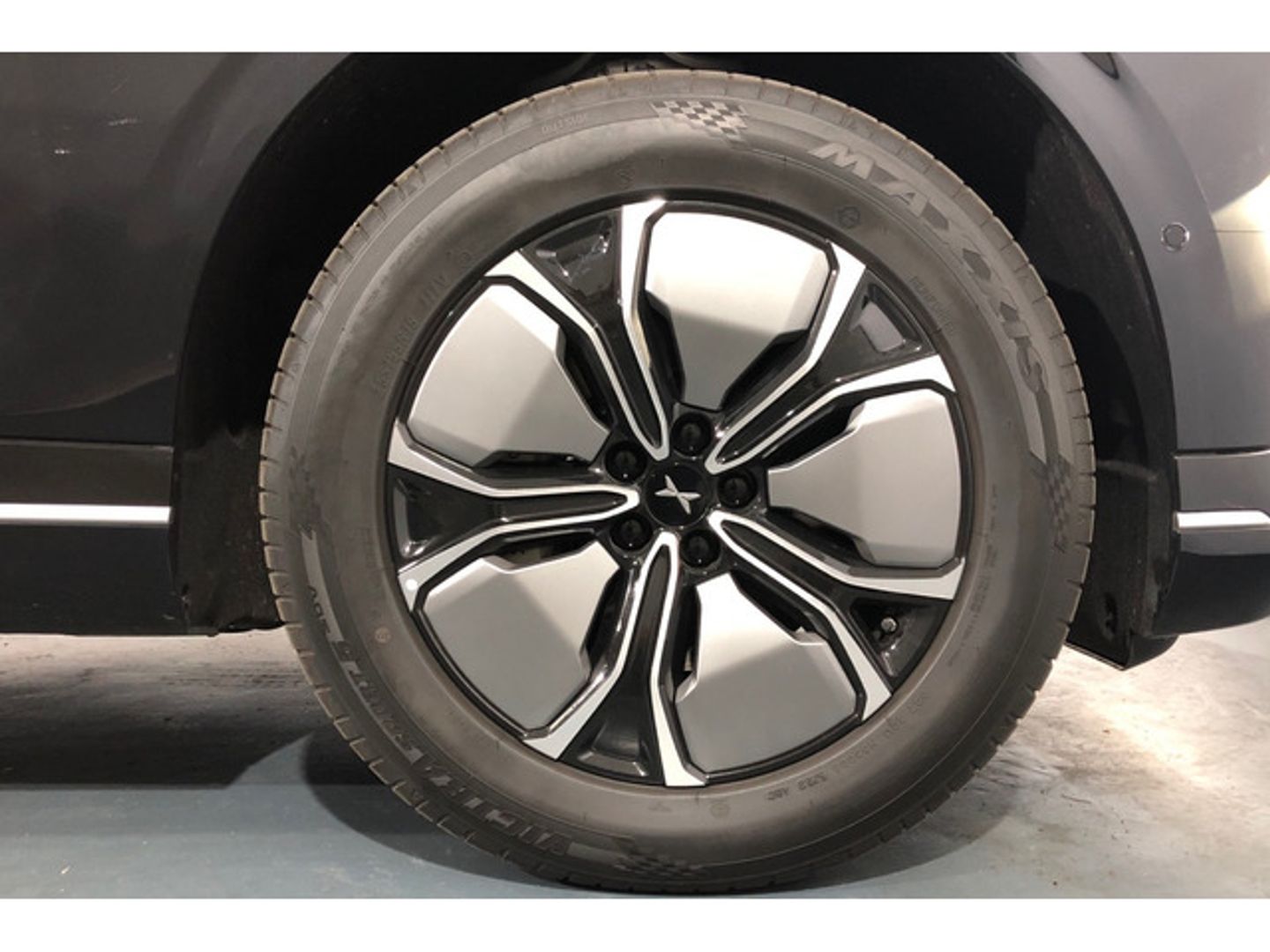 Xpeng G9 Long Range RWD 230 kW (313 CV)