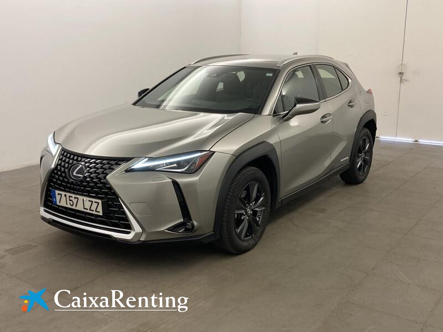 Lexus UX UX 250h Business 2WD 135 kW (184 CV) Gris Plata SUV