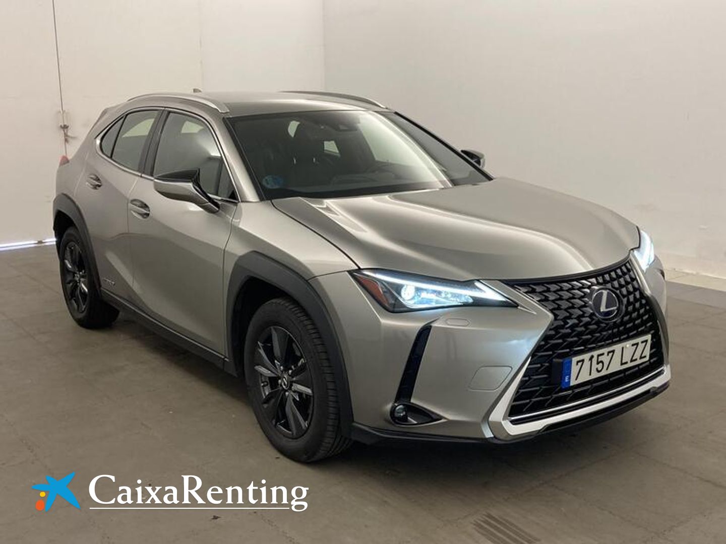 Lexus UX UX 250h Business 2WD 135 kW (184 CV)