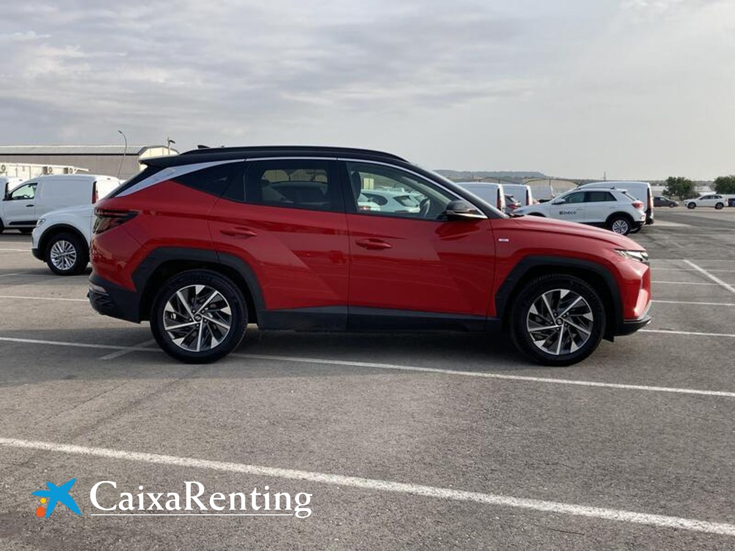 Hyundai Tucson 1.6 CRDI 48V Tecno 4X4 DCT 100 kW (136 CV)