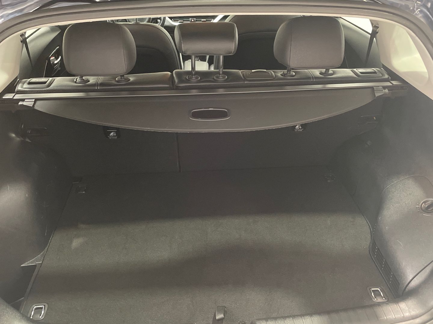 Kia Niro 1.6 GDi PHEV Híbrido Drive 104 kW (141 CV)