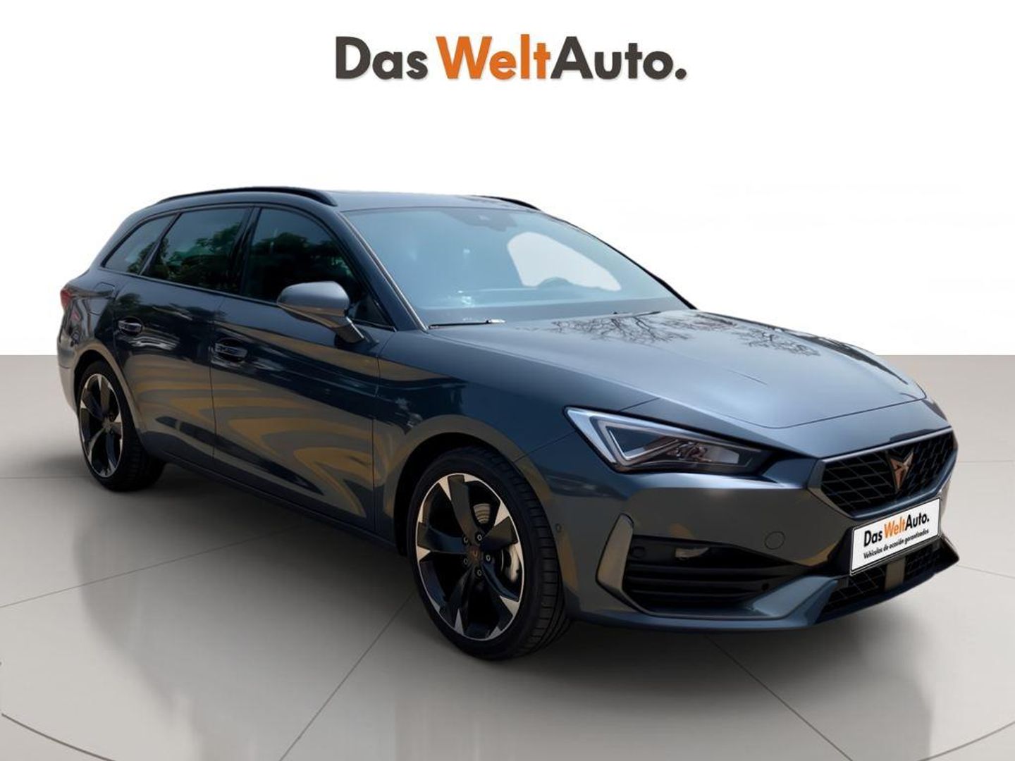 CUPRA Leon Sportstourer 1.5 eTSI DSG 110 kW (150 CV) Gris Familiar