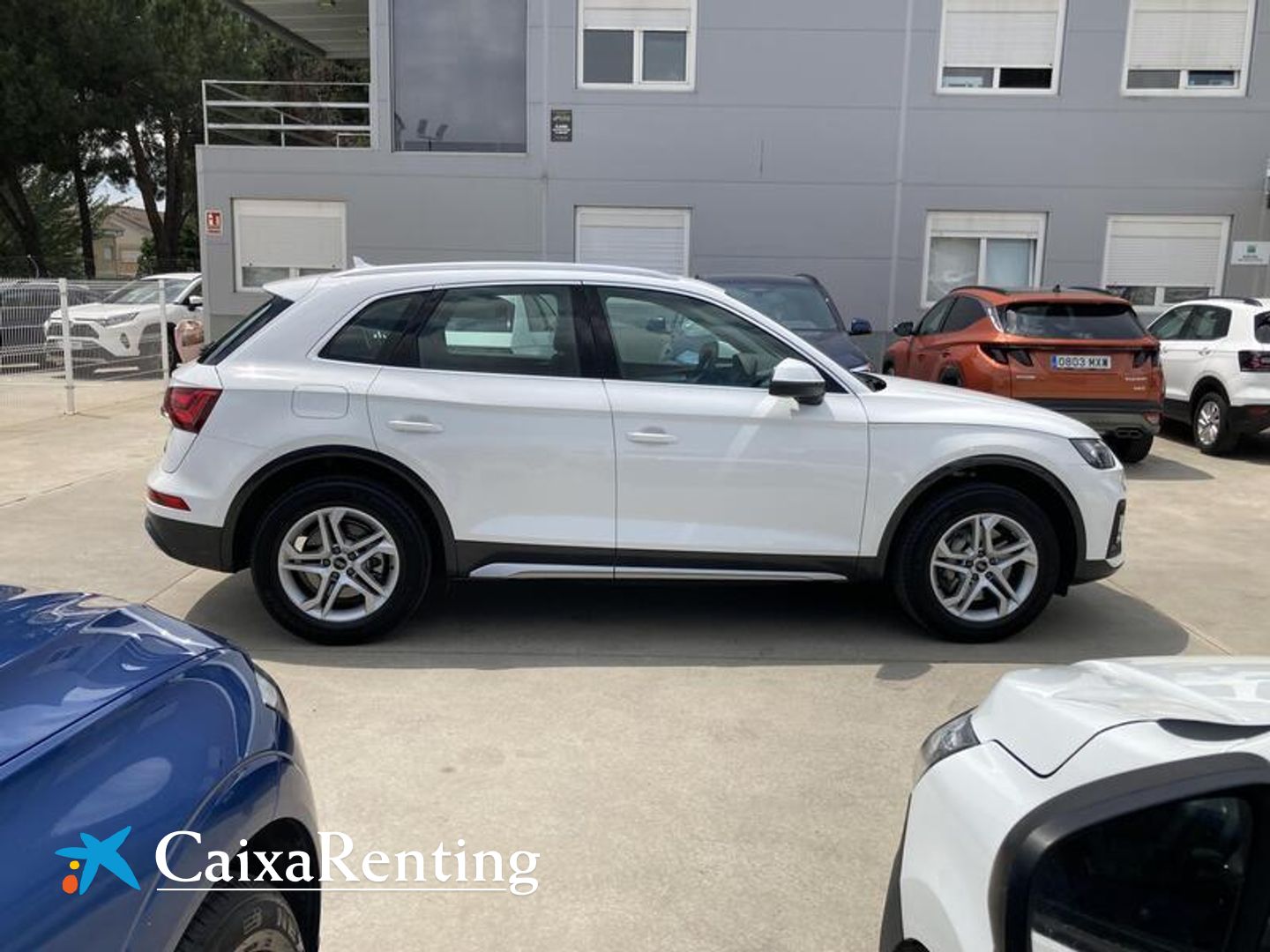 Audi Q5 TFSIe Advanced 50 TFSIe quattro-ultra 220 kW (299 CV)