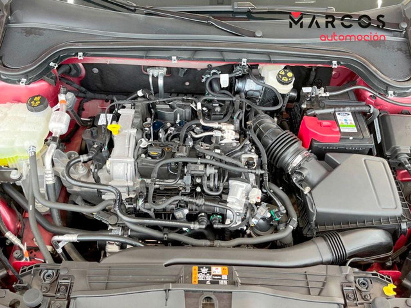Ford Focus 1.0 Ecoboost MHEV ST-Line Auto 114 kW (155 CV)