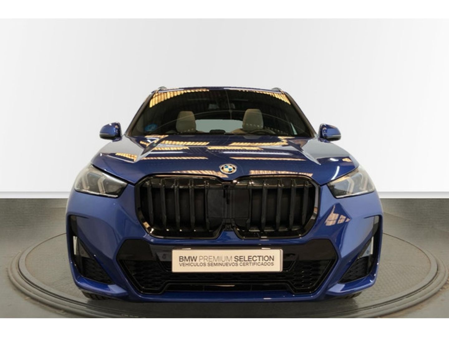 BMW X1 xDrive25e 180 kW (245 CV)