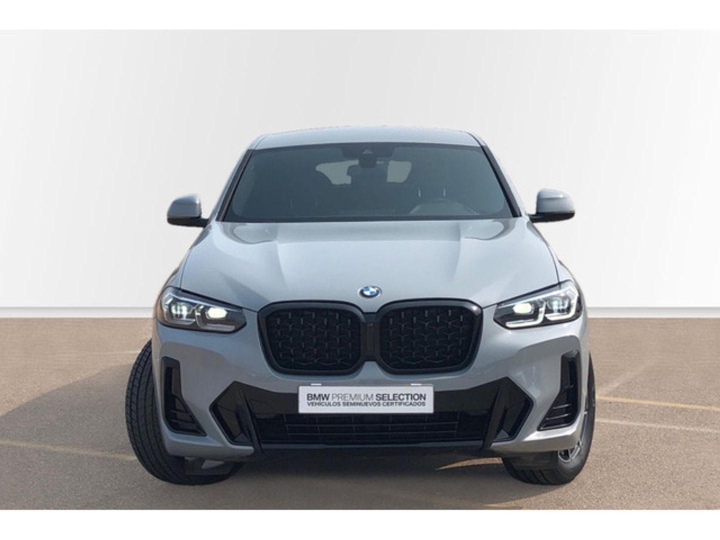 BMW X4 xDrive20d xLine 140 kW (190 CV)
