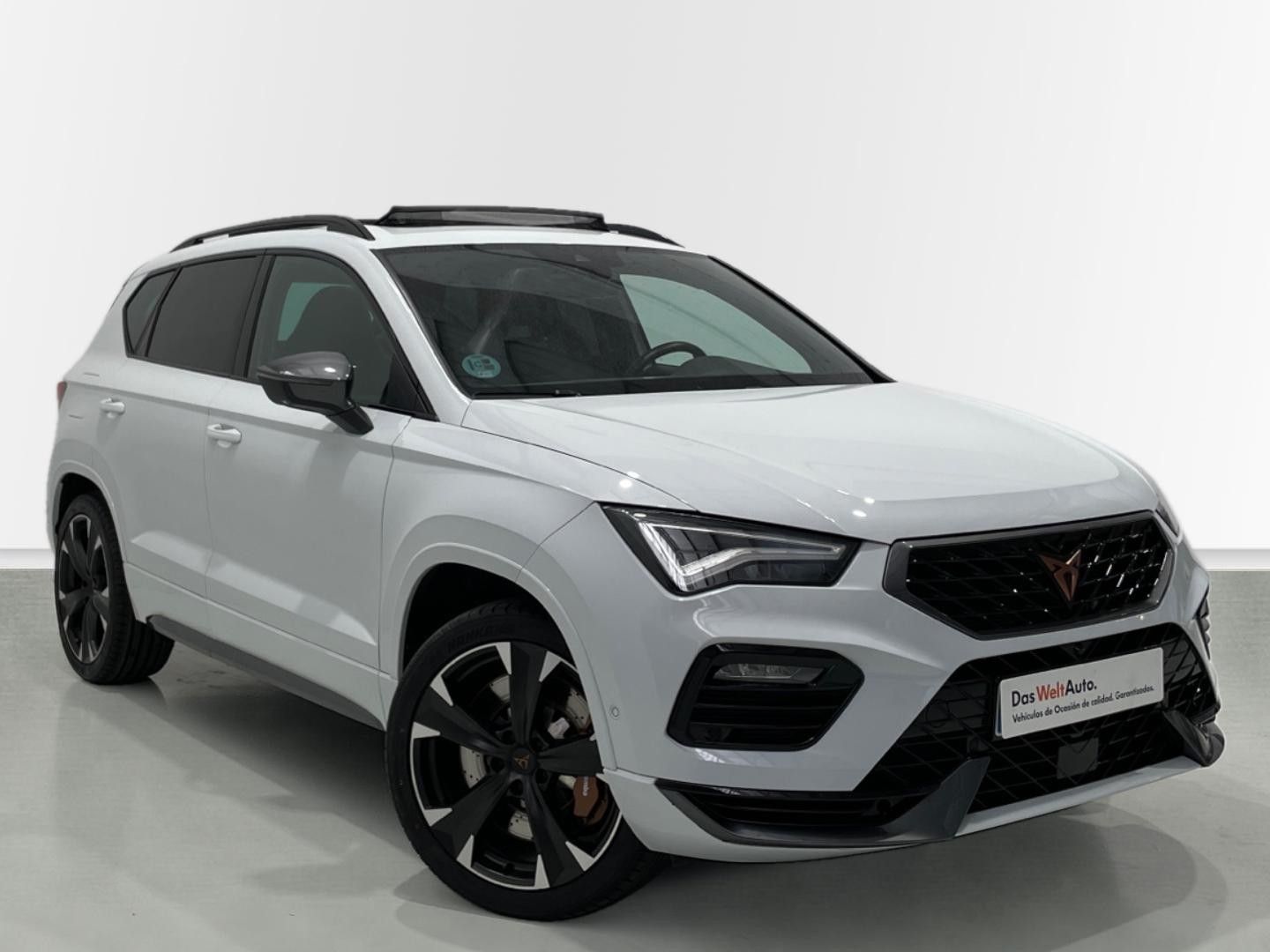 CUPRA Ateca 2.0 TSI 4Drive DSG 221 kW (300 CV)
