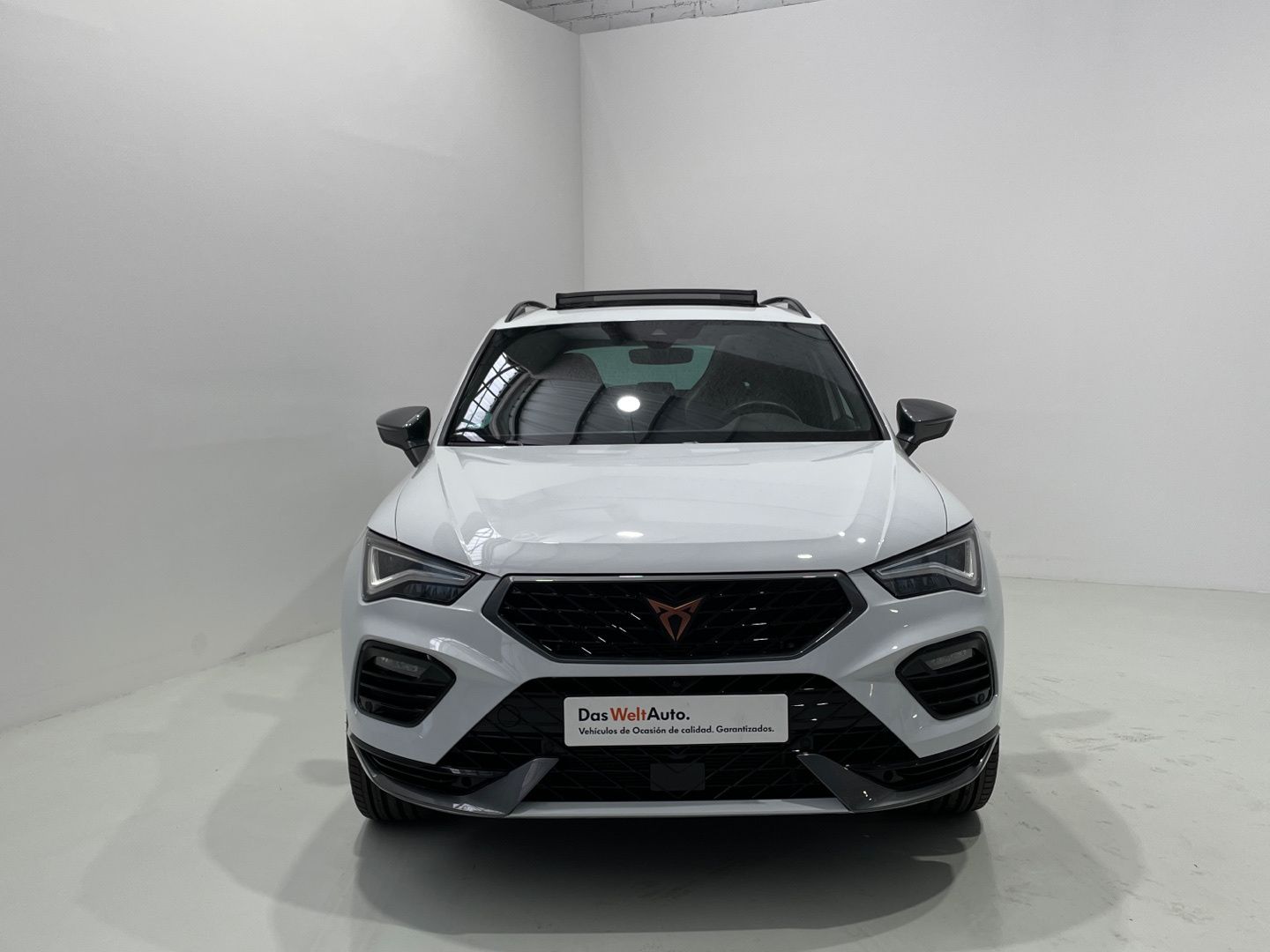 CUPRA Ateca 2.0 TSI 4Drive DSG 221 kW (300 CV)