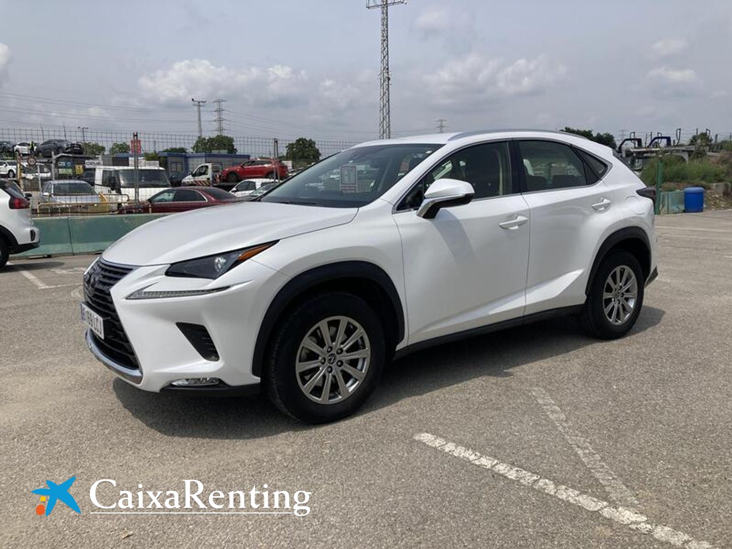 Lexus NX 300h Business Navigation 2WD 145 kW (197 CV) Blanco SUV