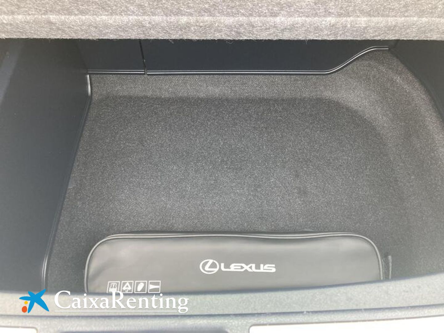 Lexus NX 300h Business Navigation 2WD 145 kW (197 CV)