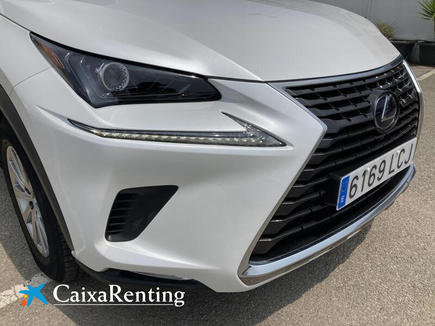 Lexus NX 300h Business Navigation 2WD 145 kW (197 CV)