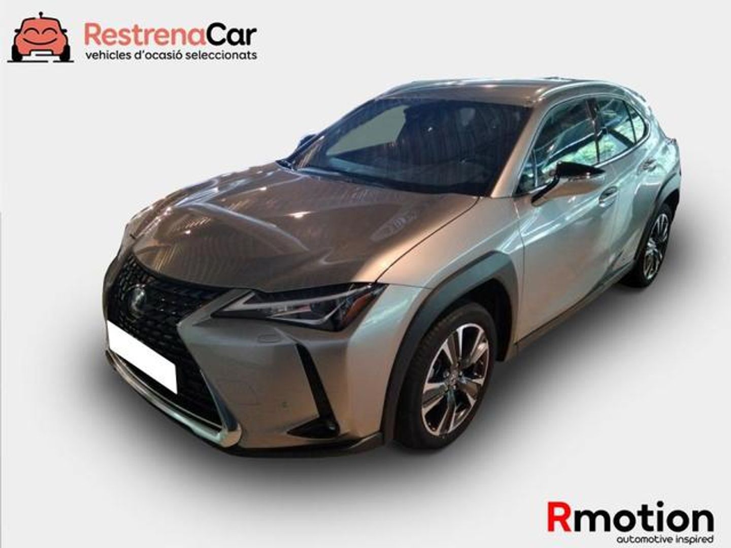 Lexus UX UX 250h Luxury 135 kW (184 CV) Gris SUV