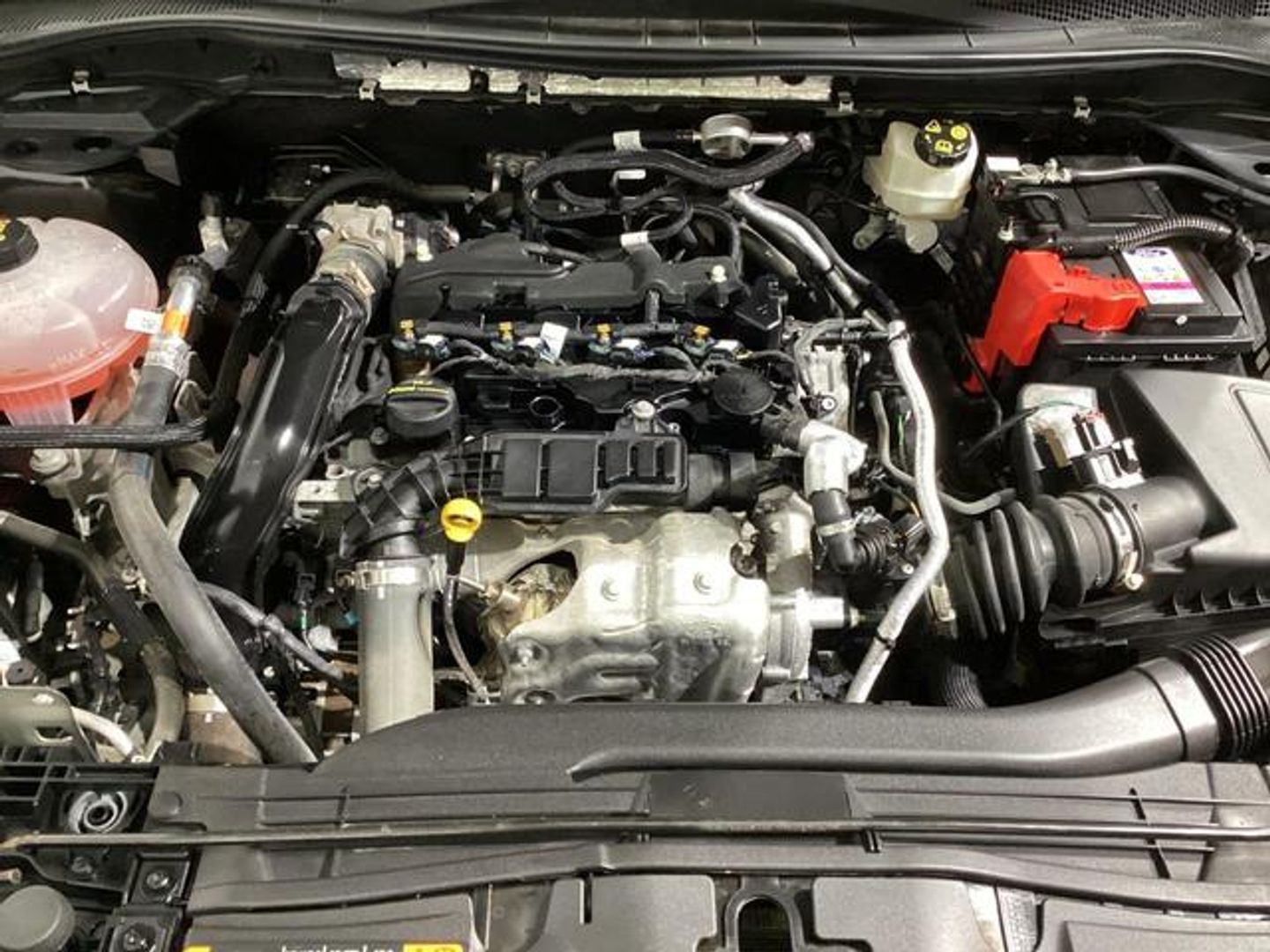 Ford Kuga 1.5 EcoBoost S&S ST-Line 4x2 110 kW (150 CV)