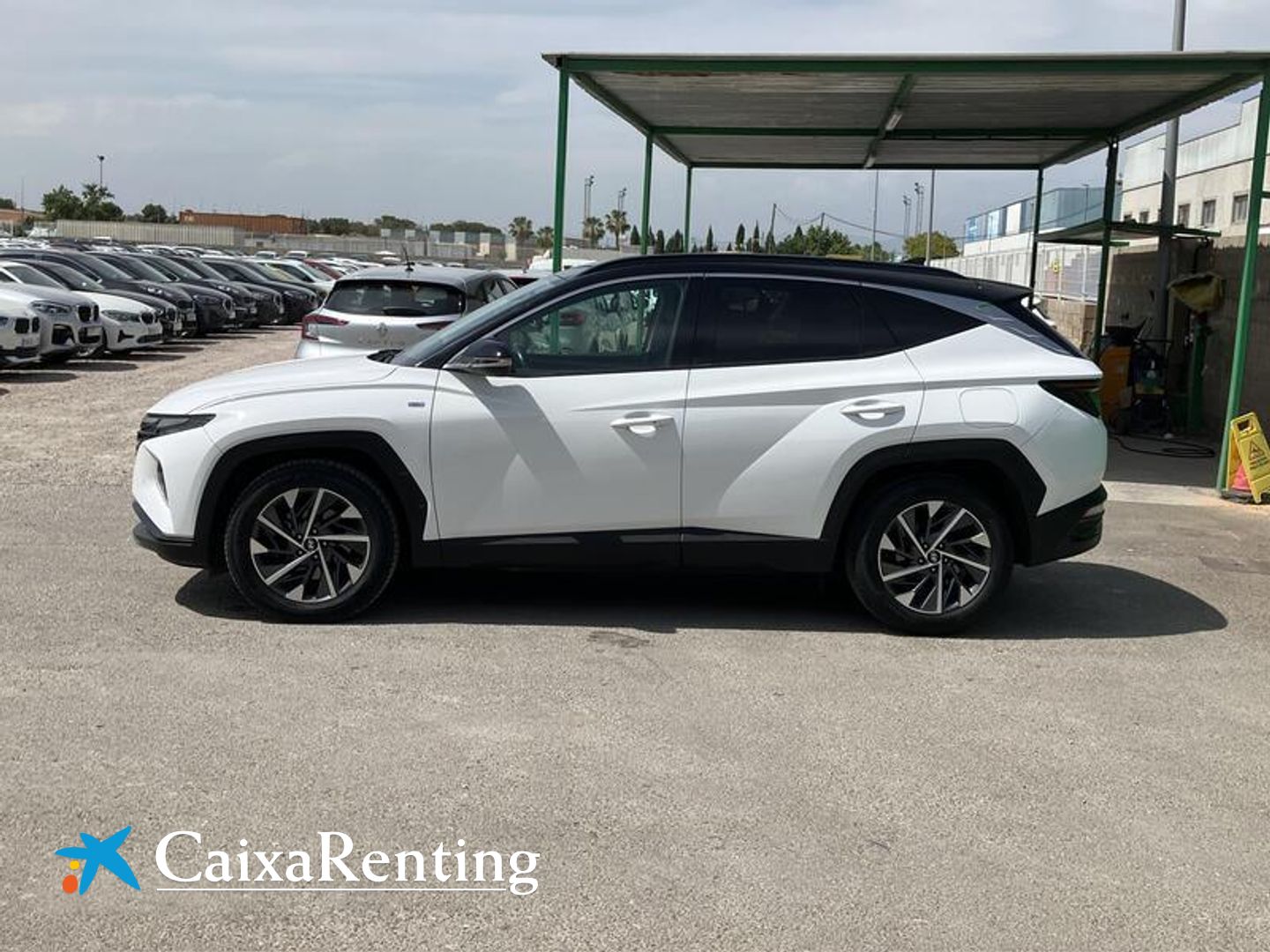 Hyundai Tucson 1.6 TGDI 48V Tecno 2C DCT 110 kW (150 CV)
