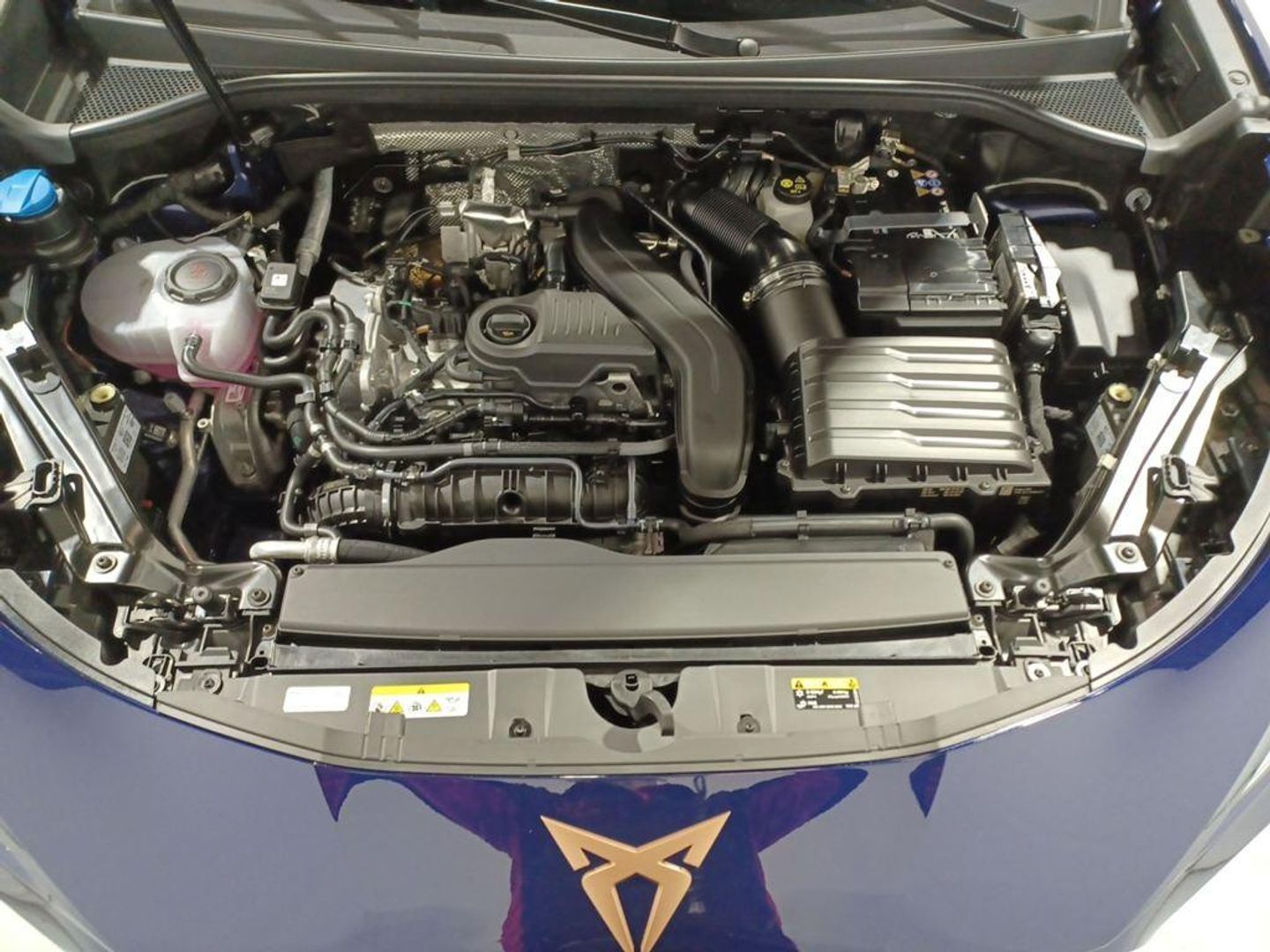 CUPRA Terramar 1.5 eTSI DSG 110 kW (150 CV)