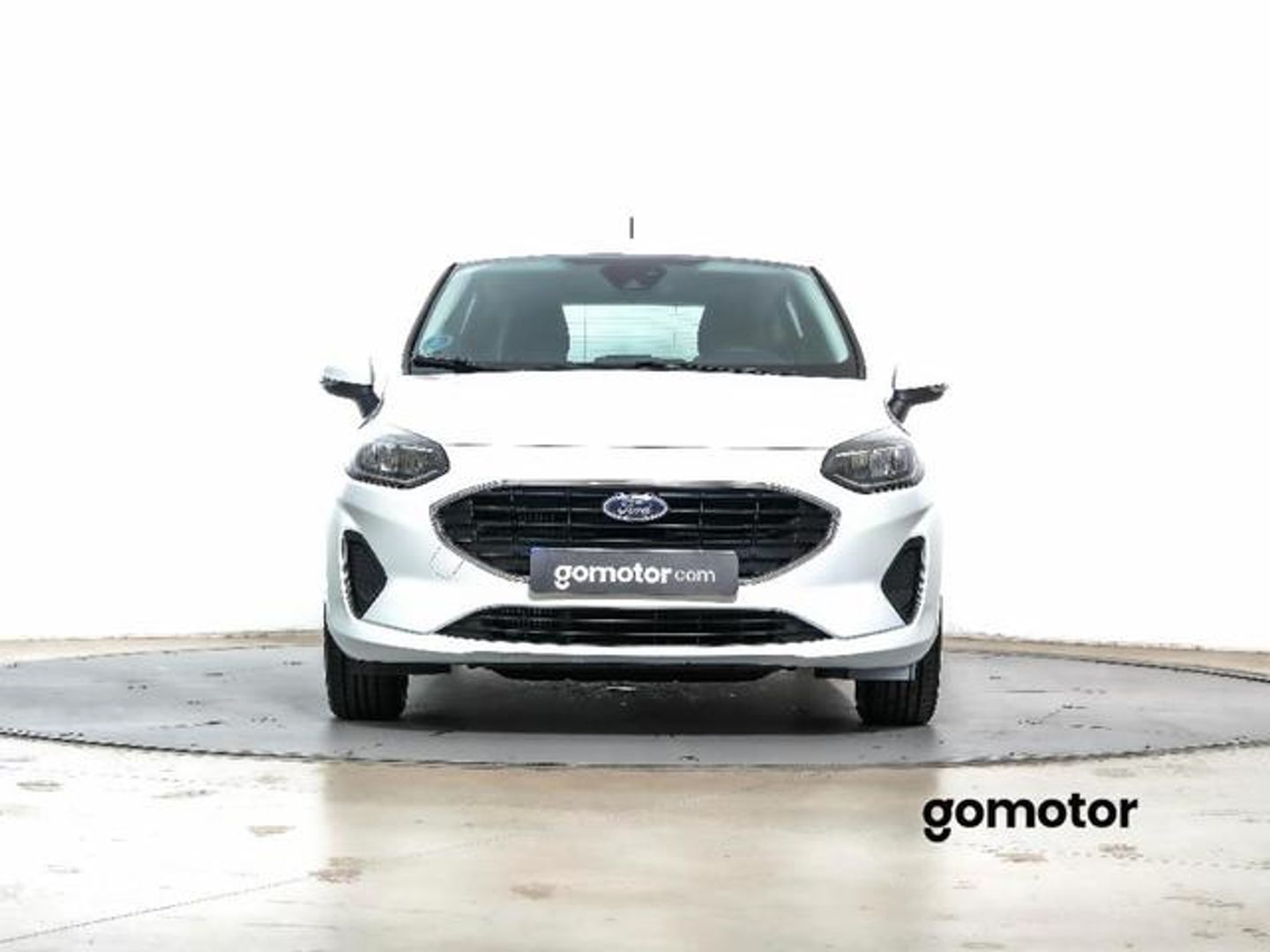 Ford Fiesta 1.0 EcoBoost Trend 74 kW (100 CV)
