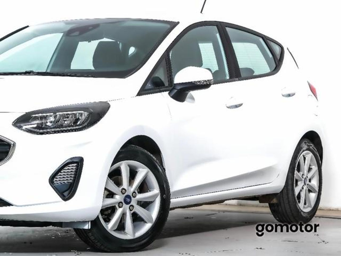 Ford Fiesta 1.0 EcoBoost Trend 74 kW (100 CV)