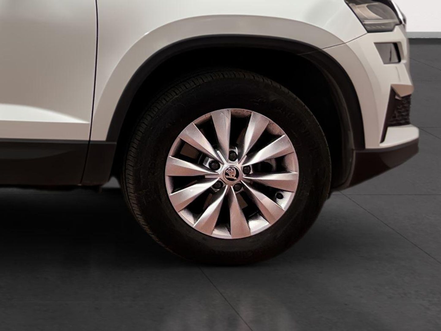 Skoda Karoq 1.5 TSI ACT Selection DSG 110 kW (150 CV)