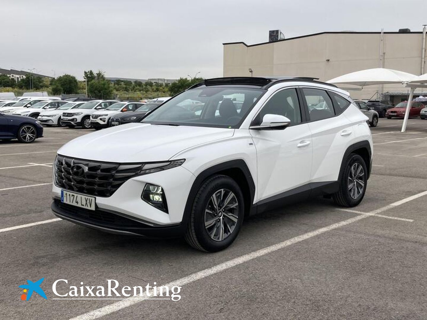 Hyundai Tucson 1.6 CRDI 48V Maxx Sky DCT 100 kW (136 CV) Blanco SUV