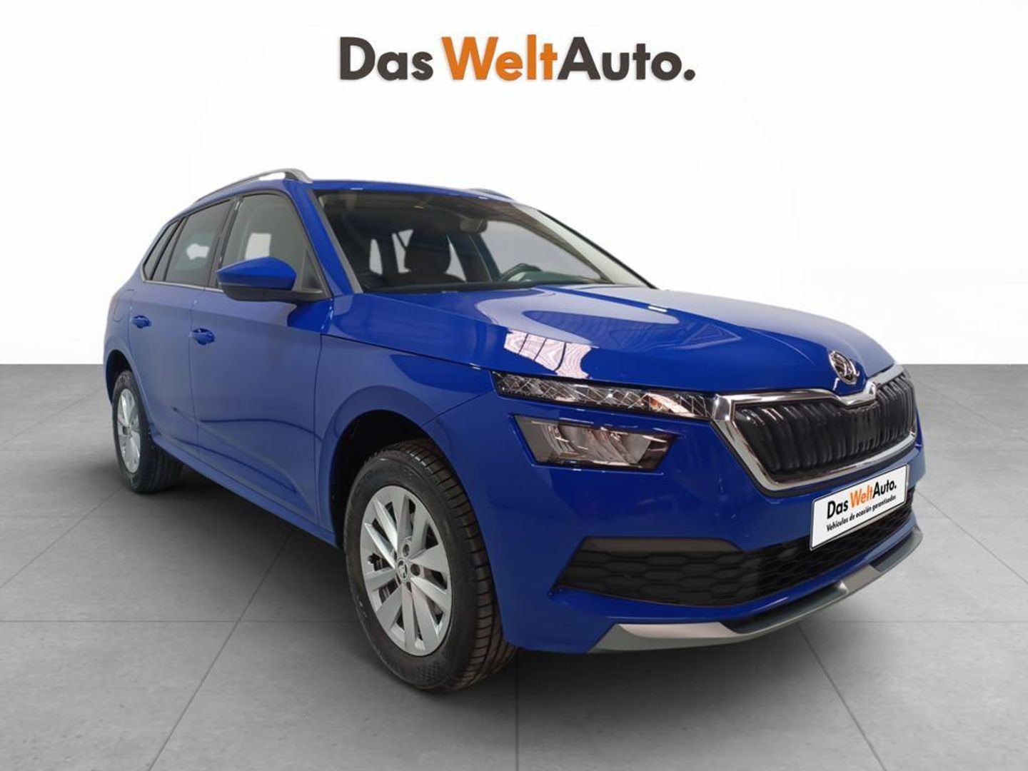 Skoda Kamiq 1.0 TSI Ambition DSG 81 kW (110 CV) Azul SUV