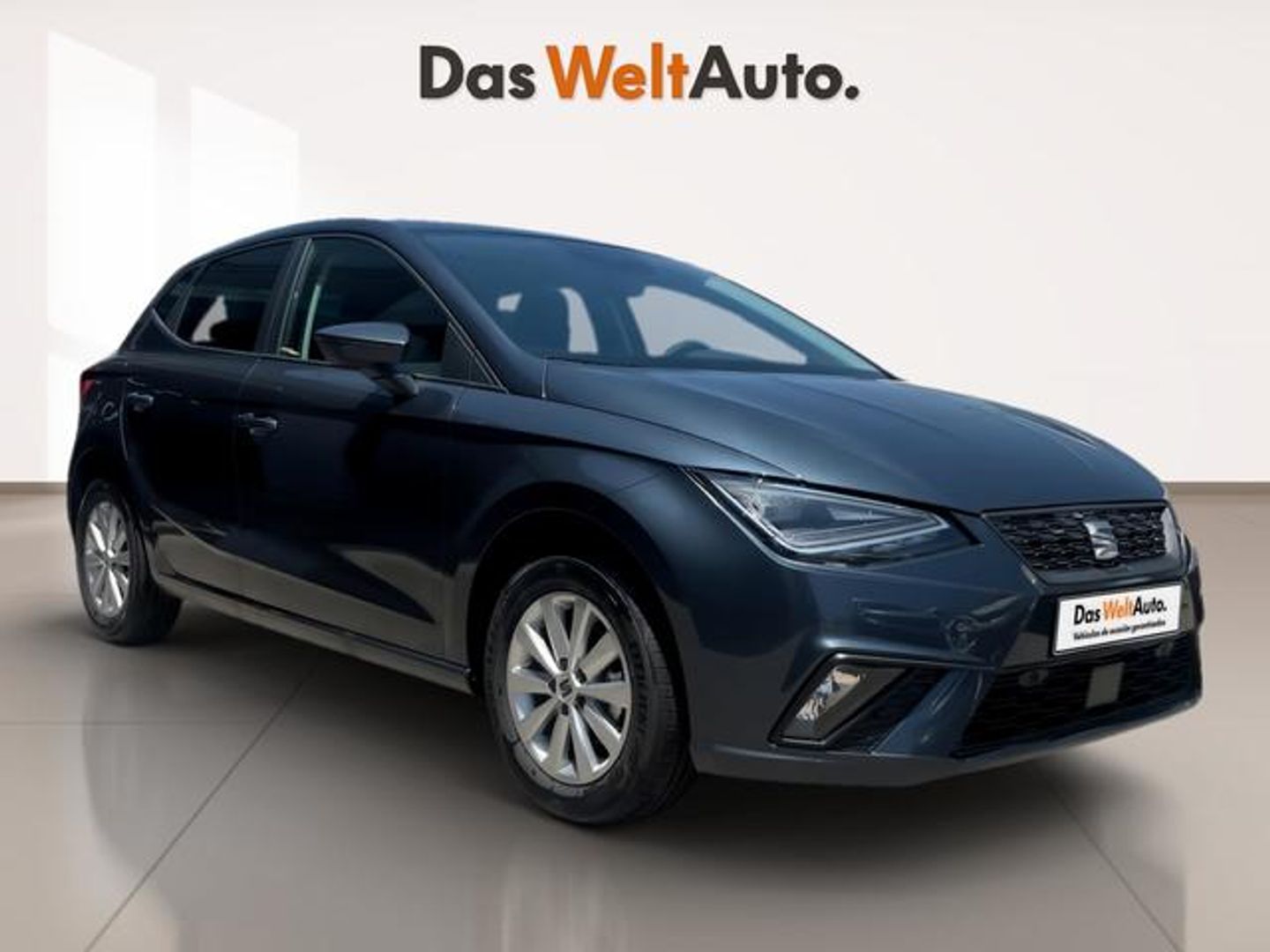 SEAT Ibiza 1.0 MPI S&S Style XL 59 kW (80 CV) Gris Compact