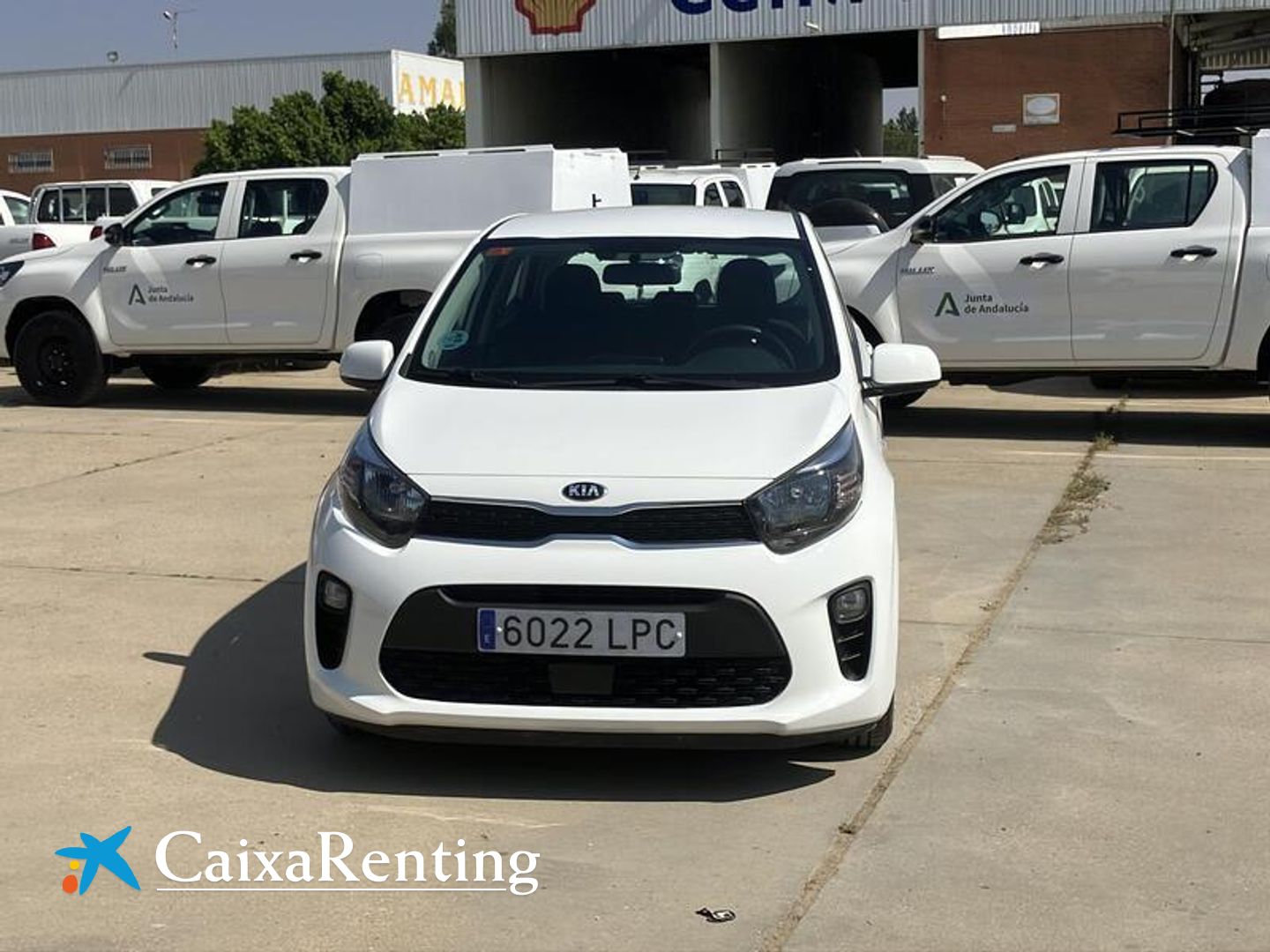 Kia Picanto 1.0 CVVT Concept 49 kW (67 CV)