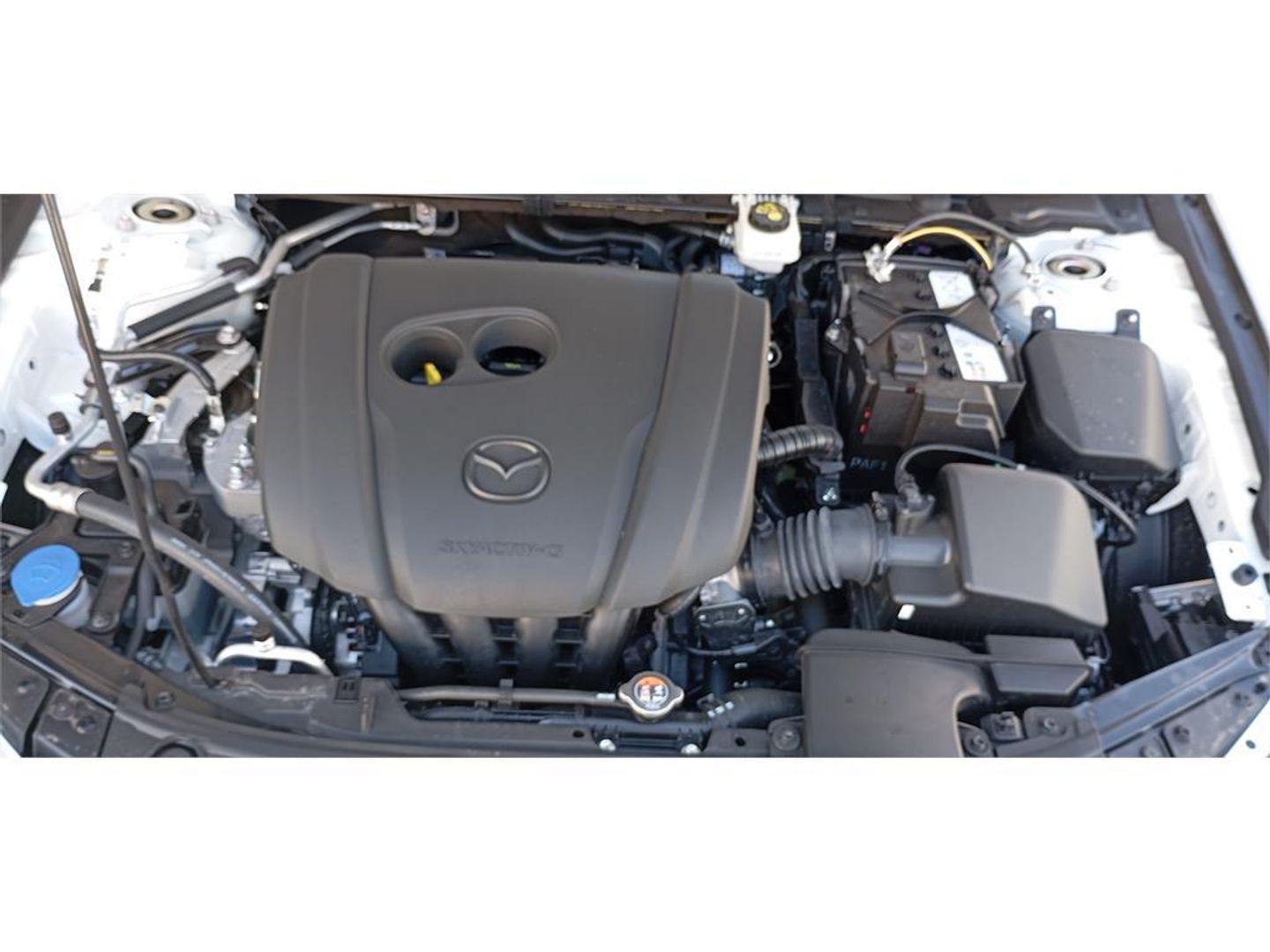 Mazda Mazda 3 2.0 e-SKYACTIV-G Homura 89 kW (122 CV)