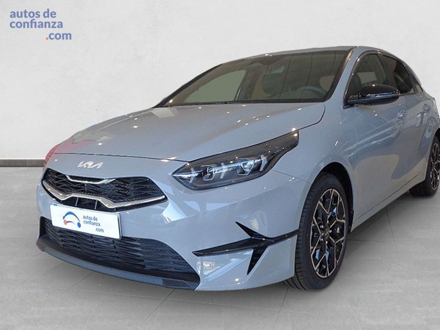 Kia Ceed 1.0 T-GDi Style Edition 74 kW (100 CV) Gris Sedan
